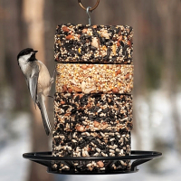 Seed & Nut Cakes, Seed Logs & Blocks